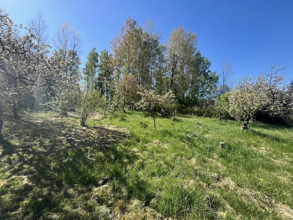 Prodej stavební parcely 1855 m², Oldřichov v Hájích