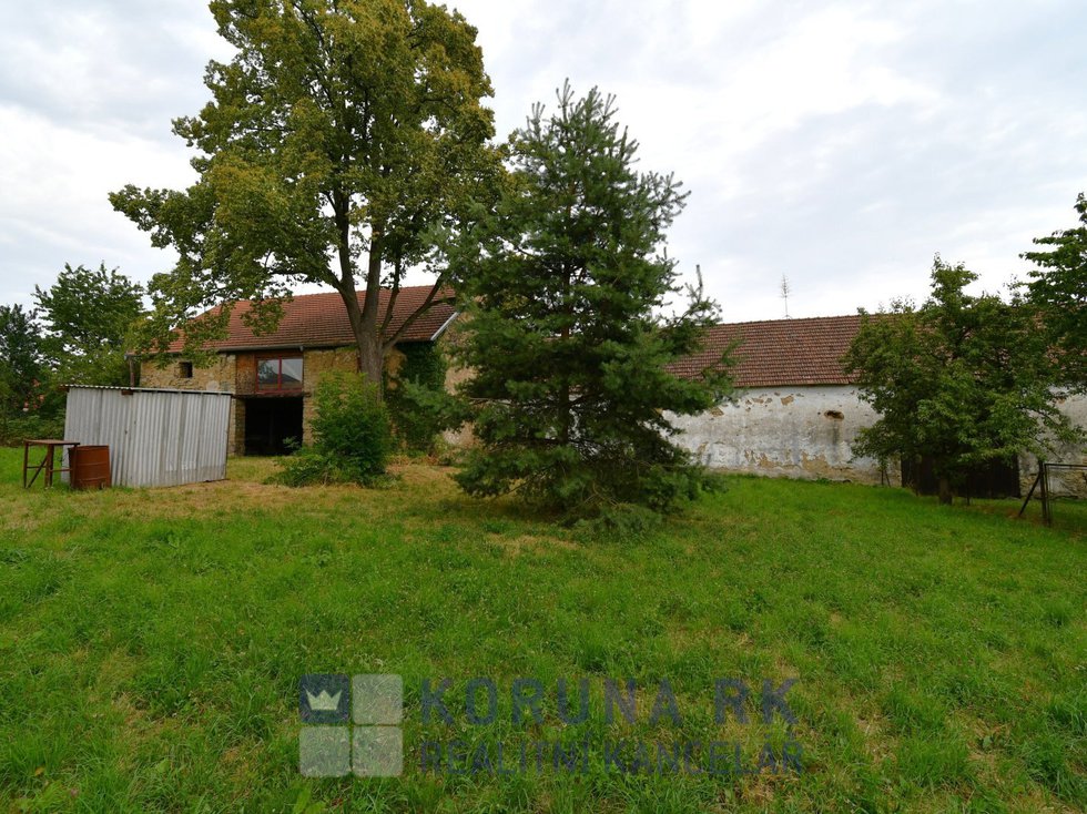 DSC_1799 - kopie.JPG