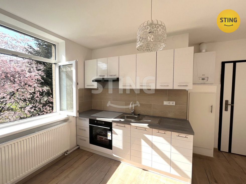 Pronájem bytu 1+1 50 m², Ostrava