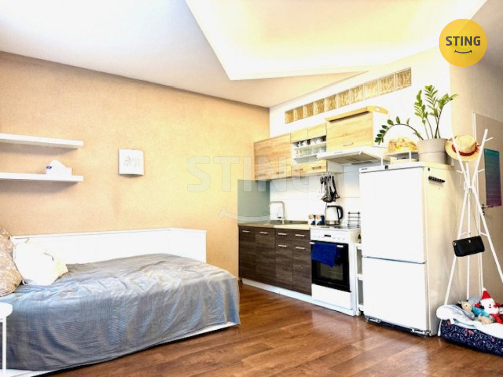 Pronájem bytu 1+kk, garsoniery 30 m², Hodonín