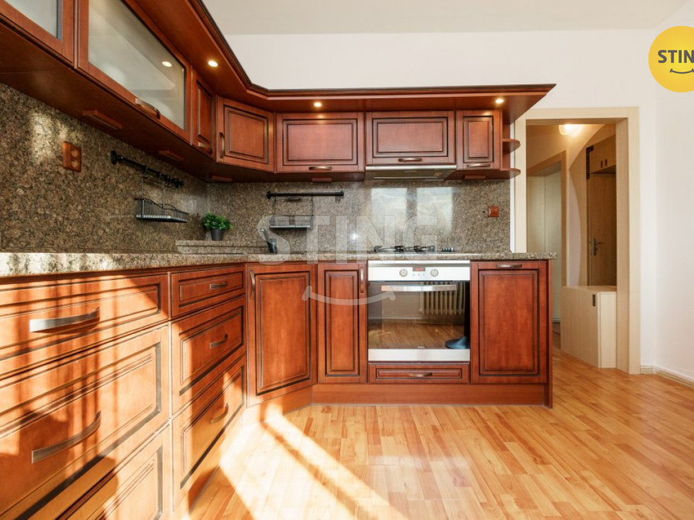 Pronájem bytu 1+1 45 m², Ostrava