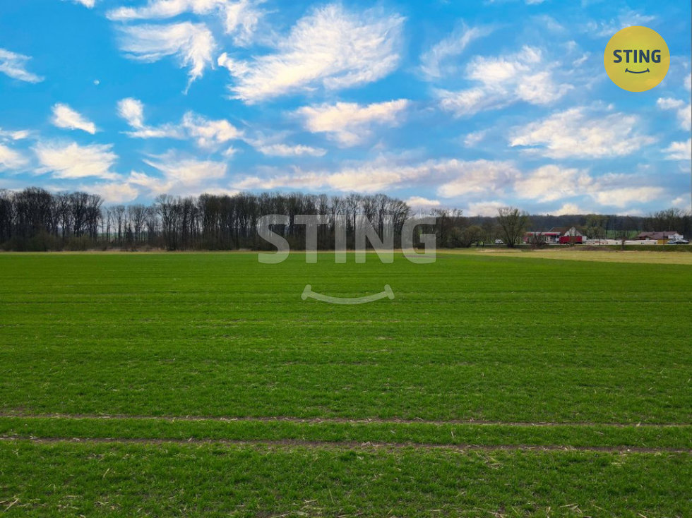 Prodej zemědělské půdy 6038 m², Sadová