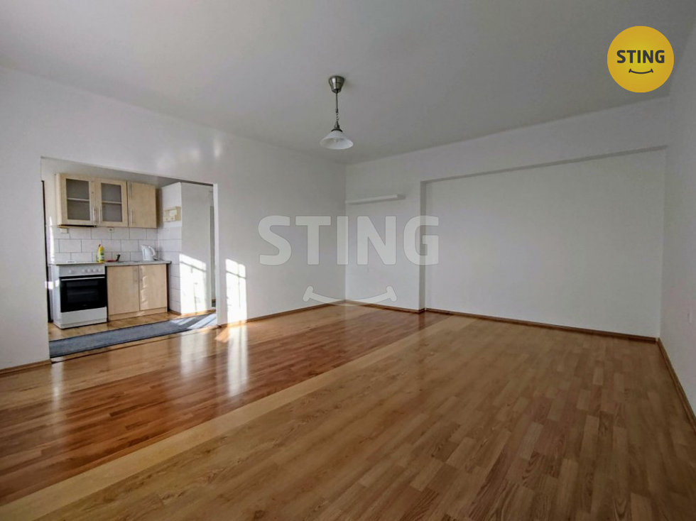 Pronájem bytu 1+1 38 m², Hodonín