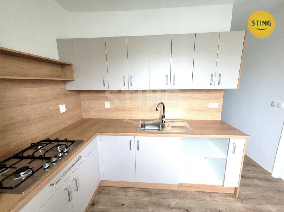 Pronájem bytu 2+1 53 m², Opava