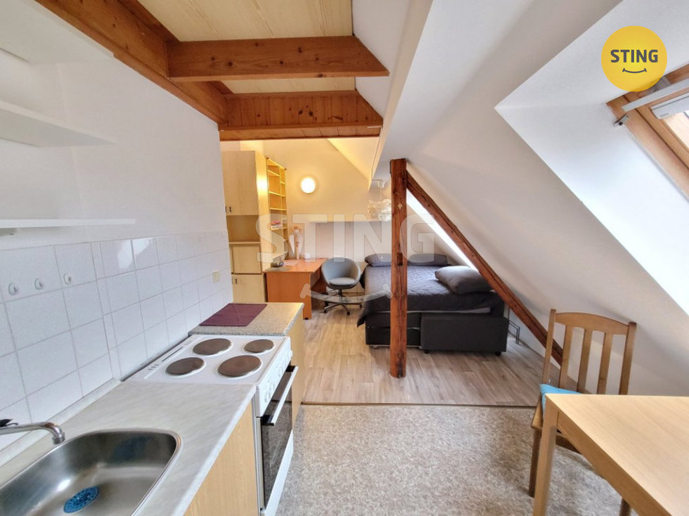 Pronájem bytu 1+kk, garsoniery 52 m², Opava