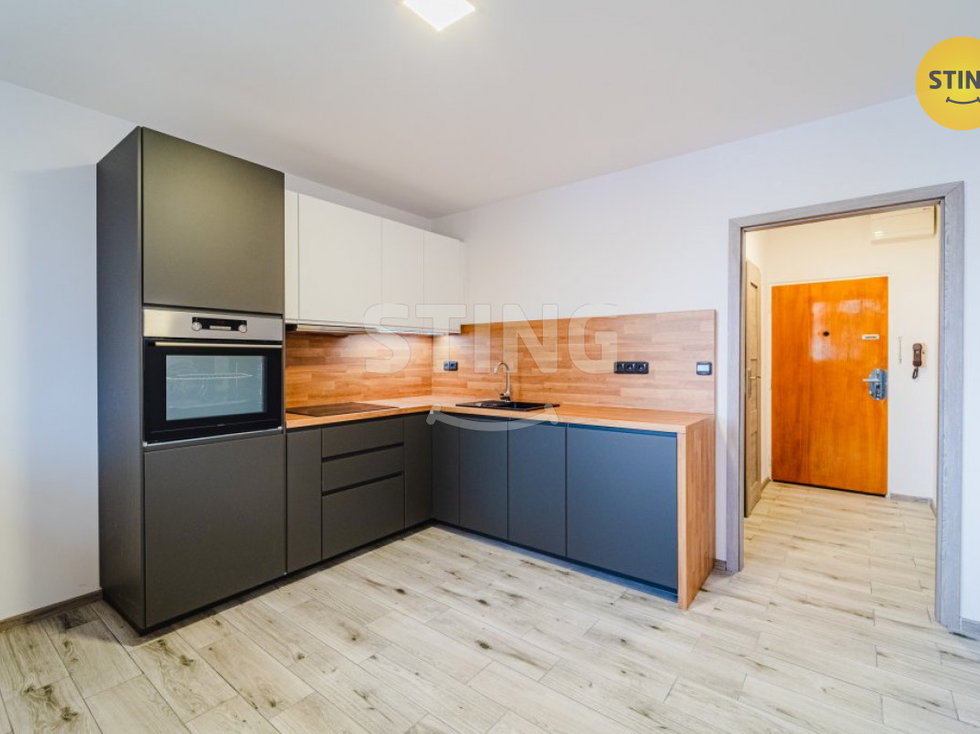 Pronájem bytu 1+1 37 m², Opava