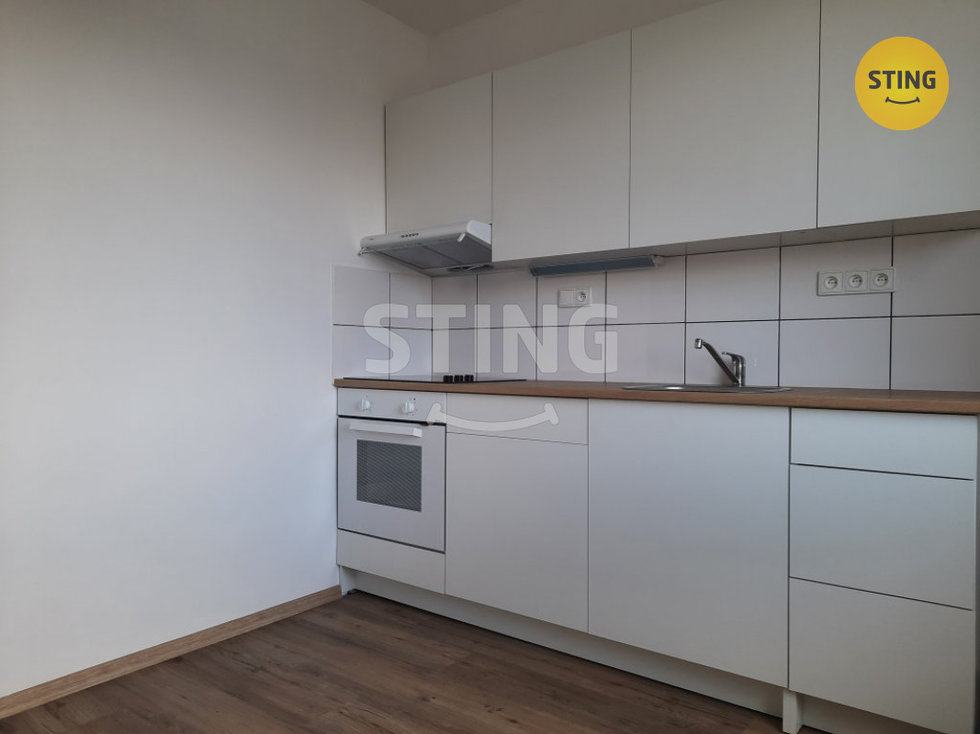 Pronájem bytu 1+1 40 m², Nové Město na Moravě