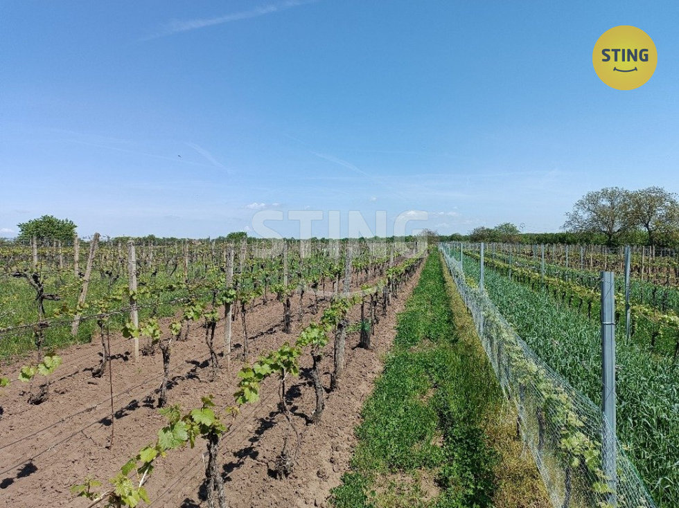 Prodej ostatních pozemků 1110 m², Hrušky