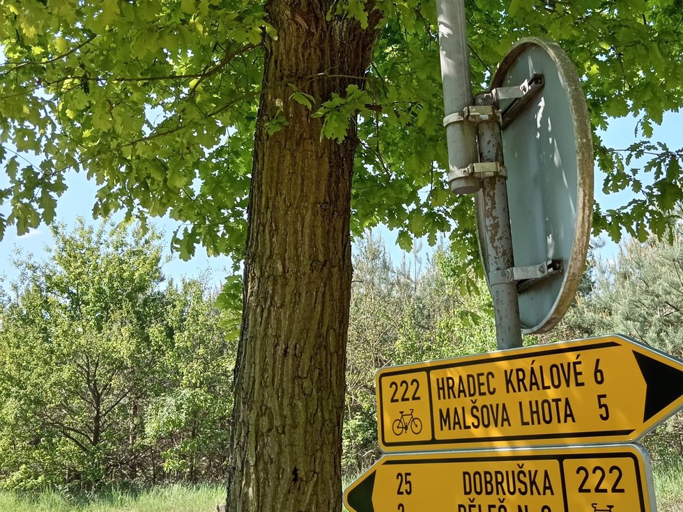 Prodej ostatních pozemků 120 m², Hradec Králové