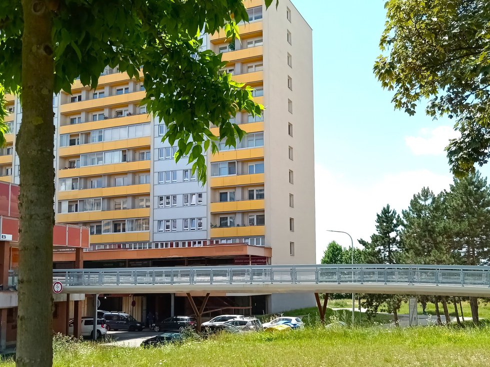Pronájem bytu 1+kk, garsoniery 35 m², Hradec Králové