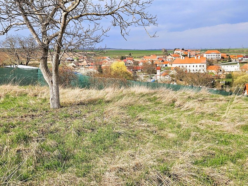 Prodej stavební parcely 2316 m², Tvořihráz