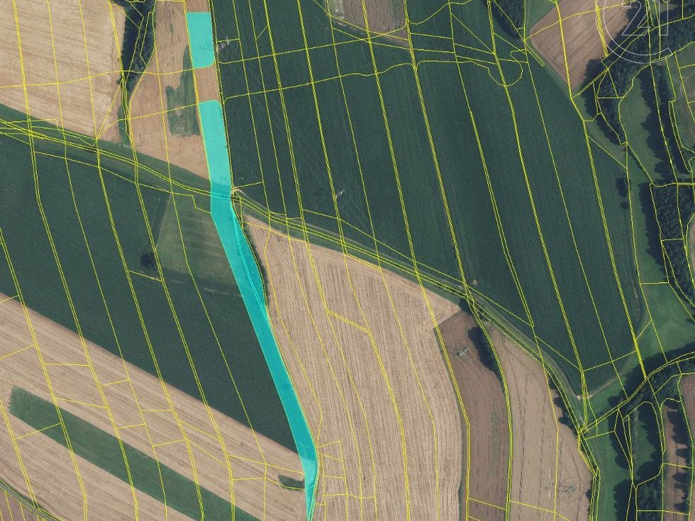 Prodej zemědělské půdy 31600 m², Kunčina