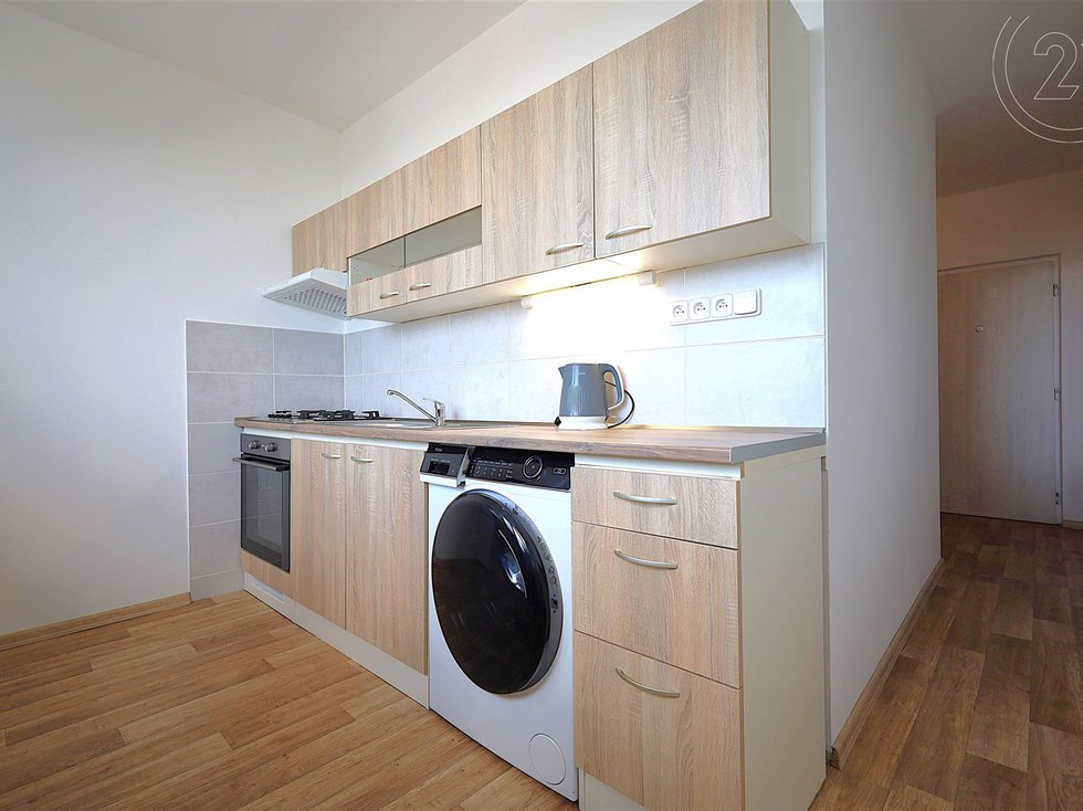 Pronájem bytu 1+1 45 m², Brno