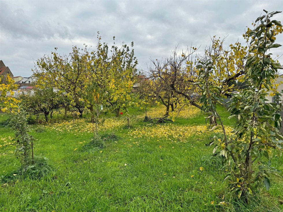 Prodej zahrady 1198 m², Zaječí