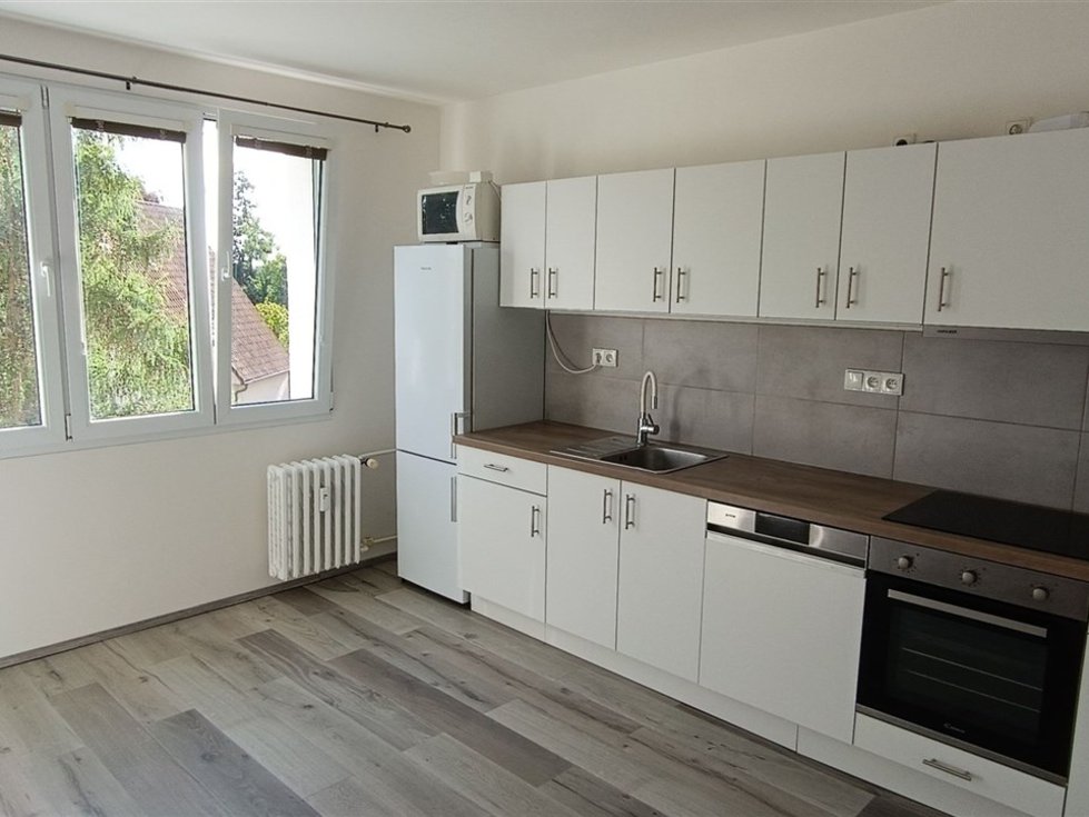 Pronájem bytu 1+1 40 m², Plzeň