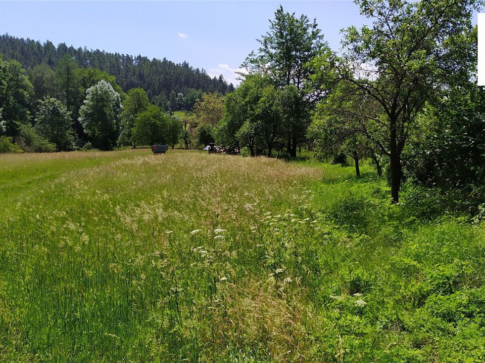 Prodej ostatních pozemků 1734 m², Nalžovské Hory