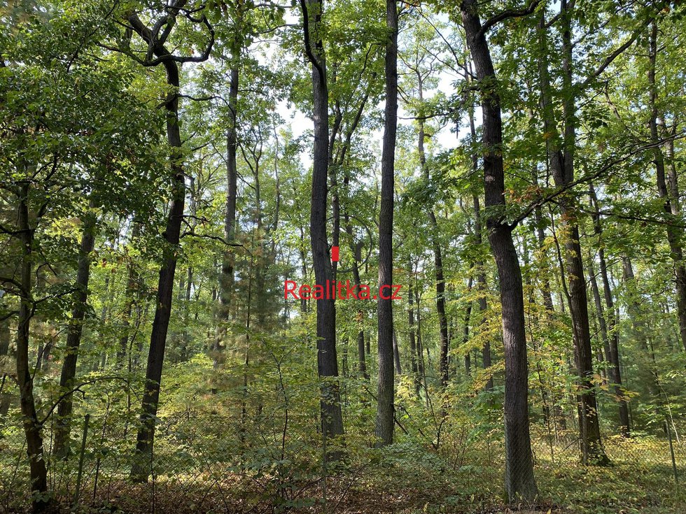 Prodej stavební parcely 3851 m², Hradištko