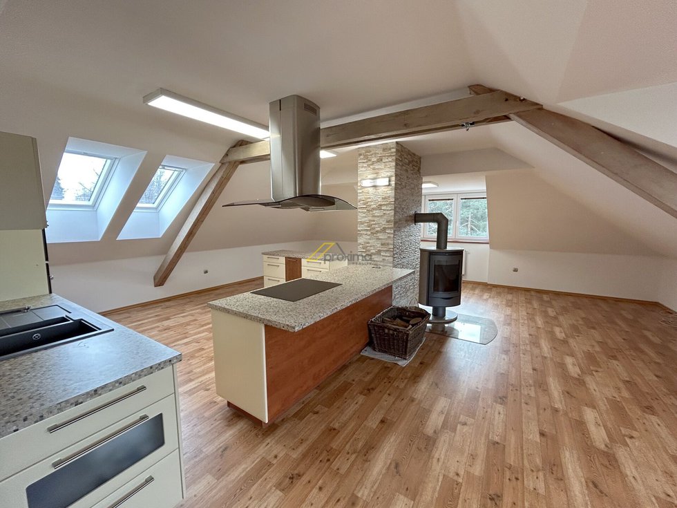 Pronájem bytu 4+kk 119 m², České Budějovice