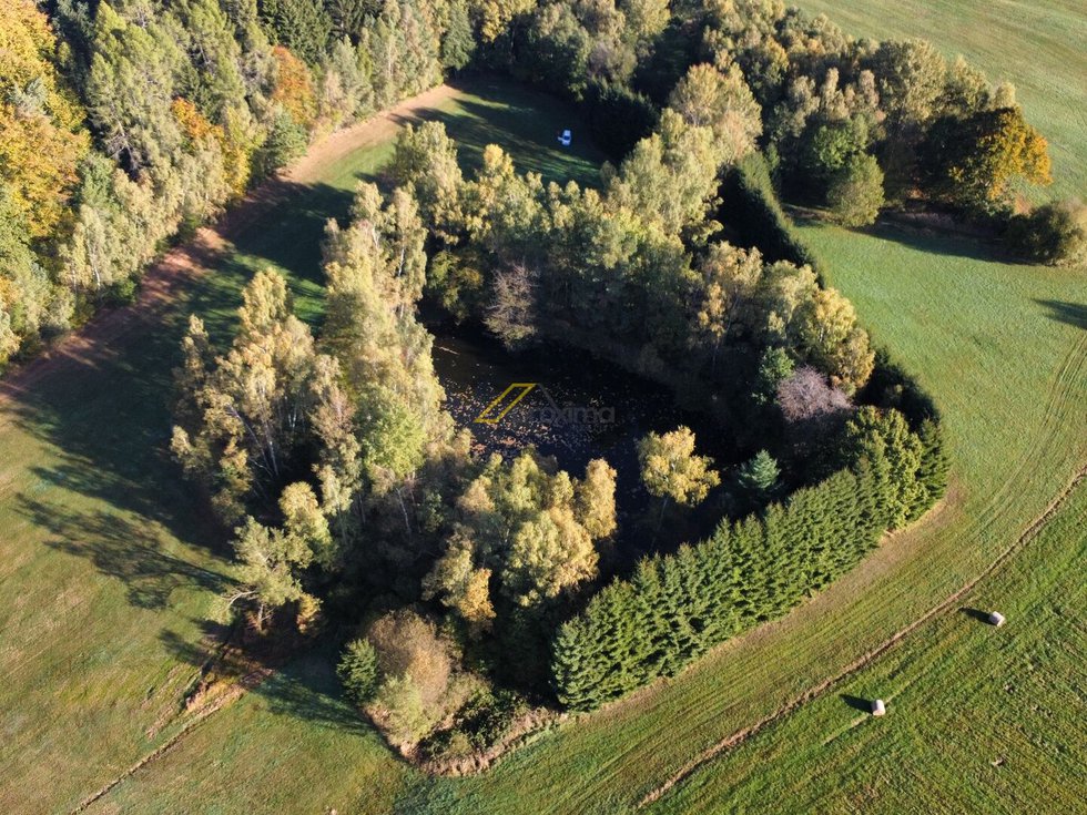 Prodej ostatních pozemků 6805 m², Benešov nad Černou