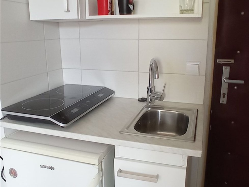Pronájem bytu 1+kk, garsoniery 20 m², Brno