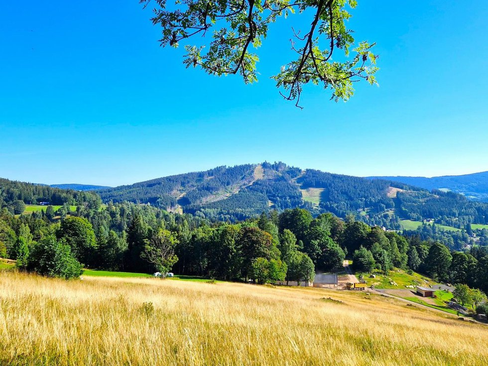 Prodej stavební parcely 1587 m², Albrechtice v Jizerských horách