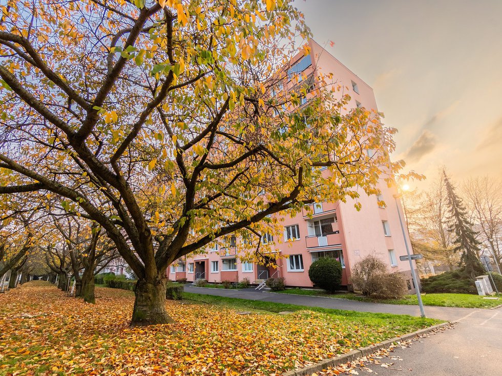 Prodej bytu 3+1 84 m², Ústí nad Labem