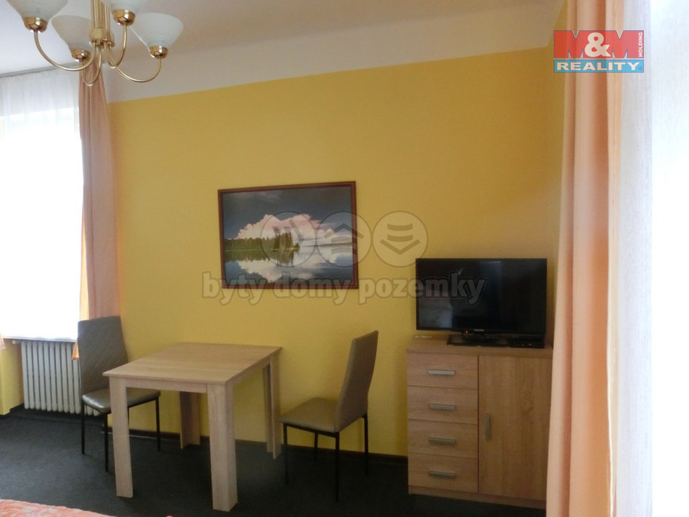 Pronájem bytu 1+kk, garsoniery 17 m², Mladá Boleslav