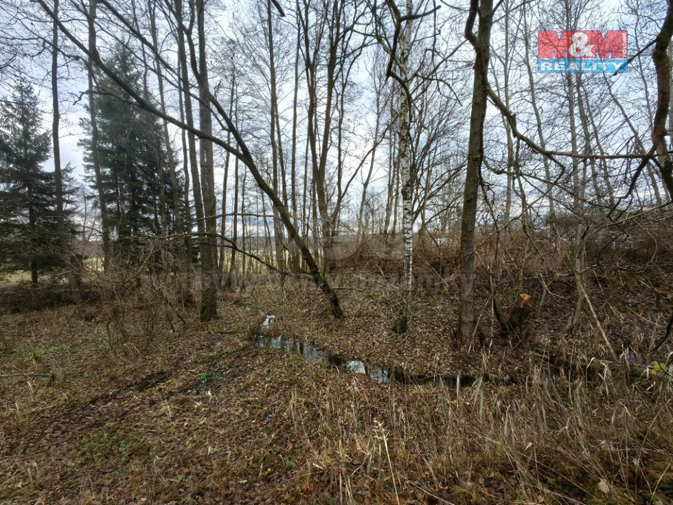 Prodej louky, Borohrádek