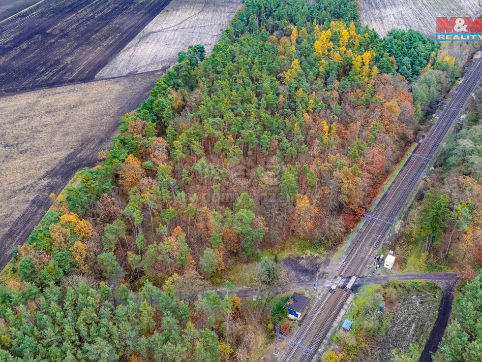 Prodej lesa, Lysá nad Labem