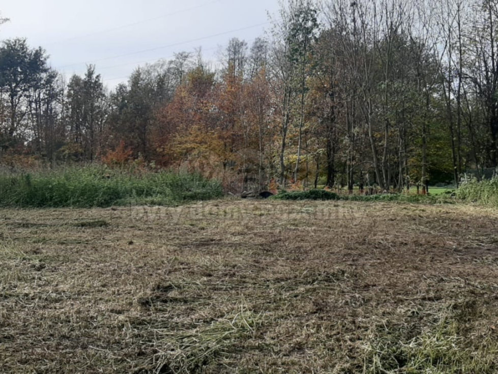 Prodej stavební parcely, Velké Albrechtice