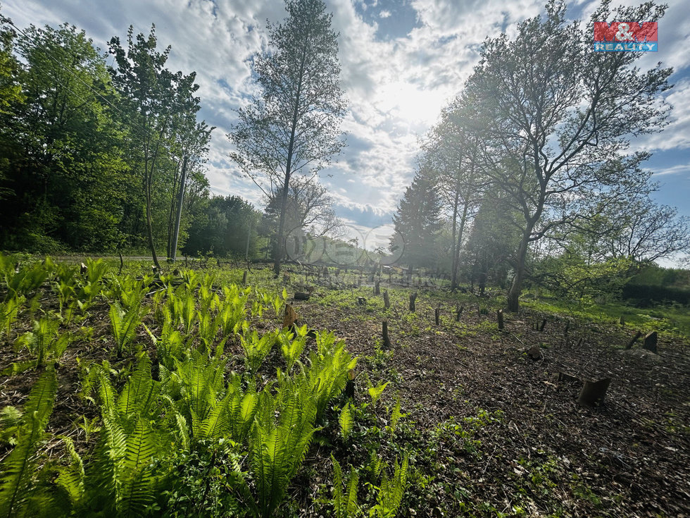 Prodej stavební parcely 830 m², Orlová