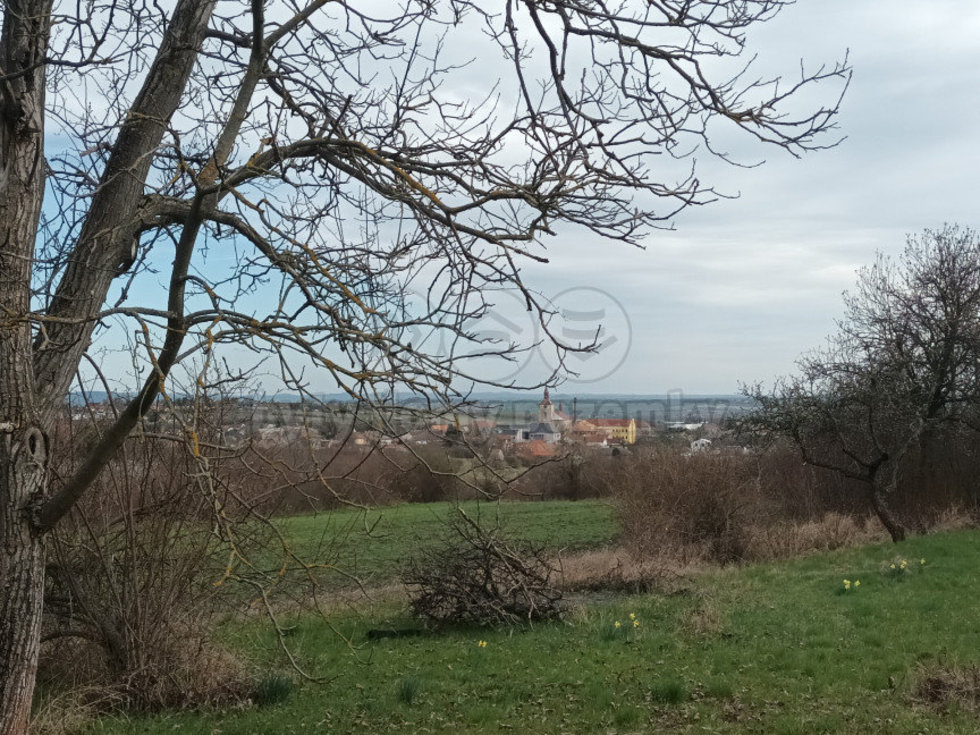 Prodej zemědělské půdy 912 m², Třebenice