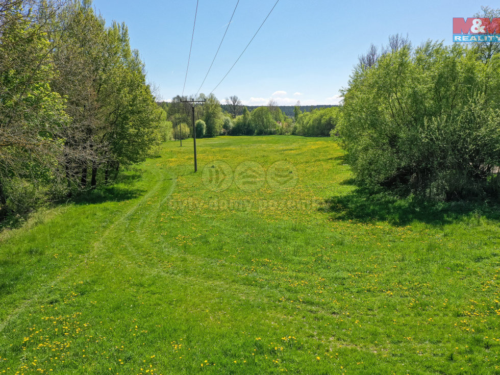 Prodej louky 4590 m², Horní Bříza