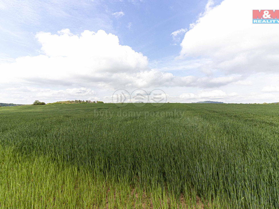 Prodej zemědělské půdy 10902 m², Miskovice
