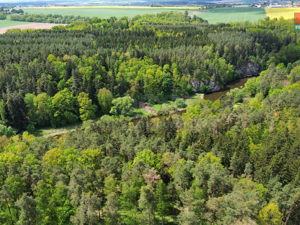 Prodej lesa 79857 m², Černýšovice