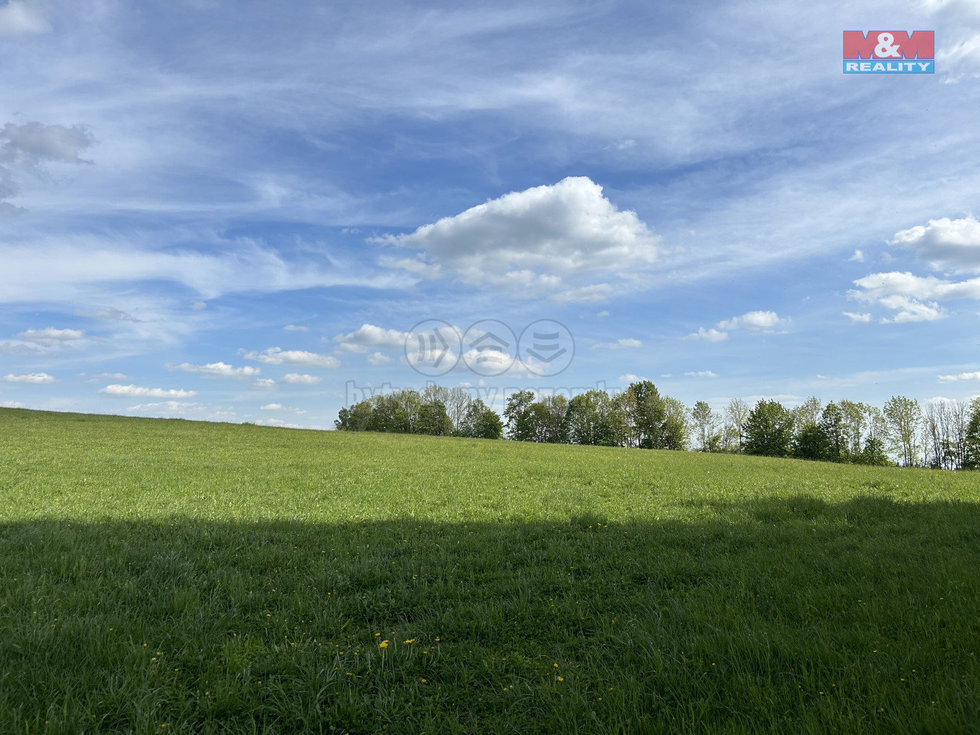 Prodej zemědělské půdy 6070 m², Jestřabí v Krkonoších