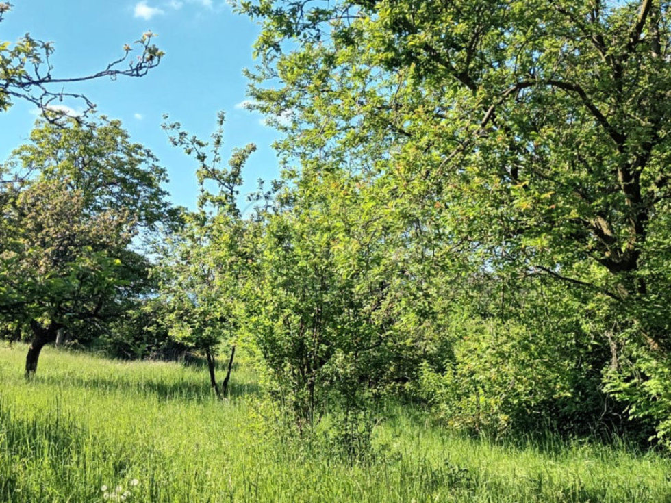 Prodej zemědělské půdy 912 m², Třebenice