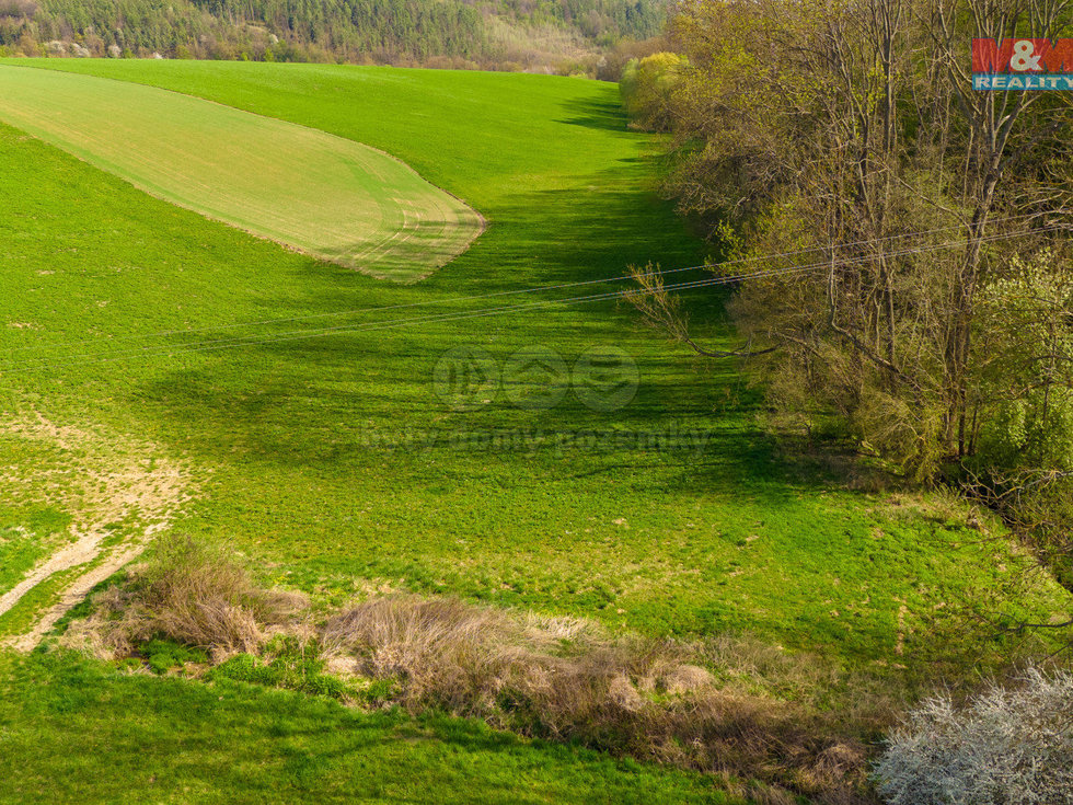 Prodej zemědělské půdy 4100 m², Bílá Lhota
