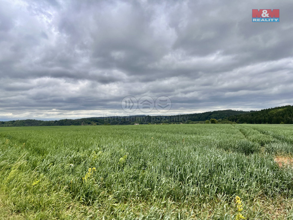 Prodej zemědělské půdy 22965 m², Měcholupy