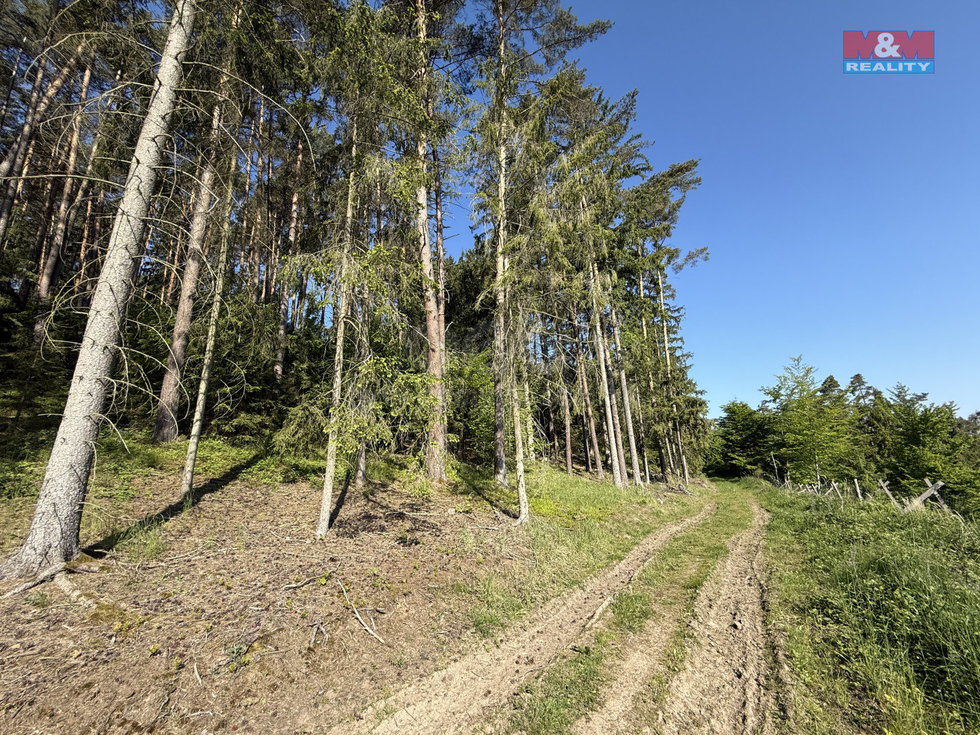 Prodej lesa 23184 m², Milešov