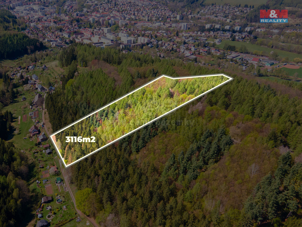 Prodej lesa 3116 m², Trutnov