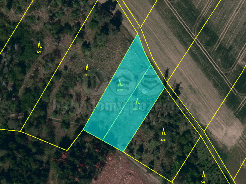 Prodej lesa 4100 m², Střítež
