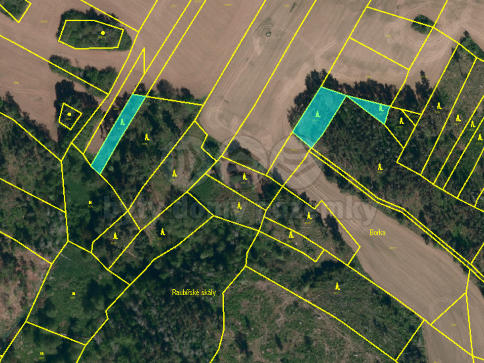 Prodej lesa 5299 m², Hodov