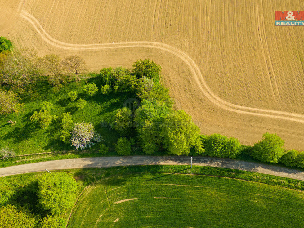 Prodej zemědělské půdy 842 m², Mikulovice