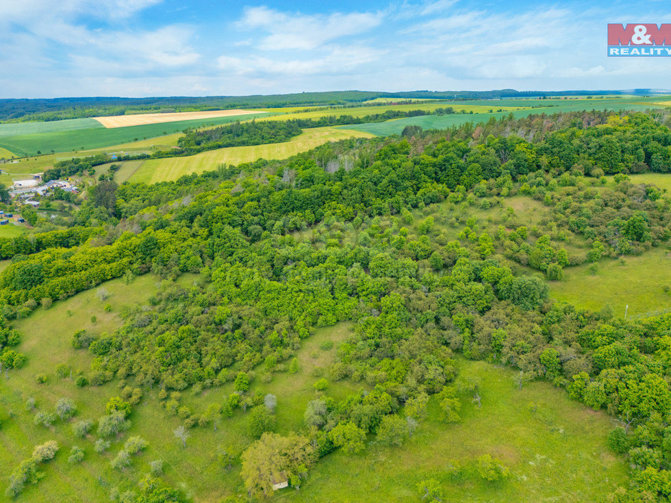 Prodej lesa 2518 m², Chyňava