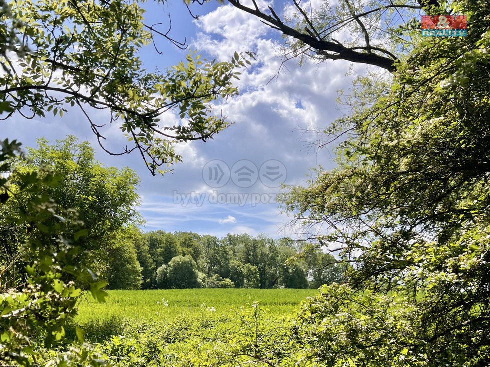Prodej zemědělské půdy 19910 m², Měcholupy
