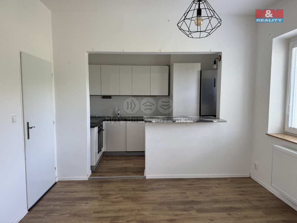 Pronájem bytu 2+kk 46 m², Velké Březno