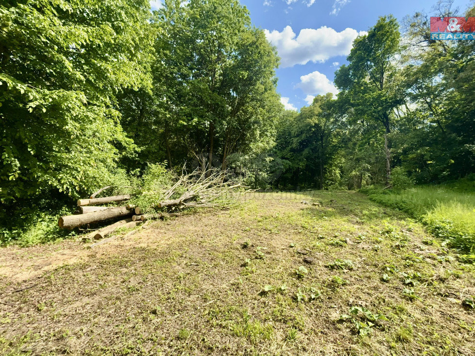 Prodej zahrady 2923 m², Šarovy