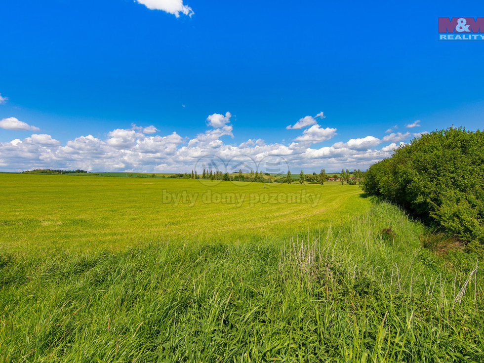 Prodej louky 2373 m², Blížejov