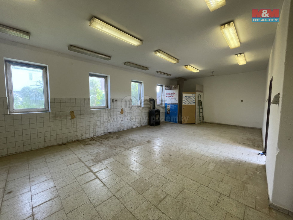Pronájem výrobního objektu 97 m², Hlučín